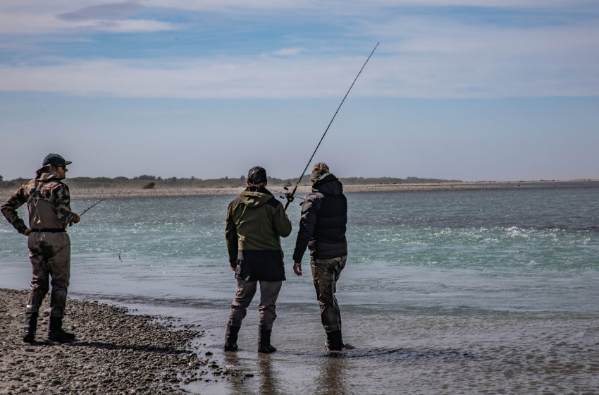 New Zealand anglers warned about rogue fishing licence website