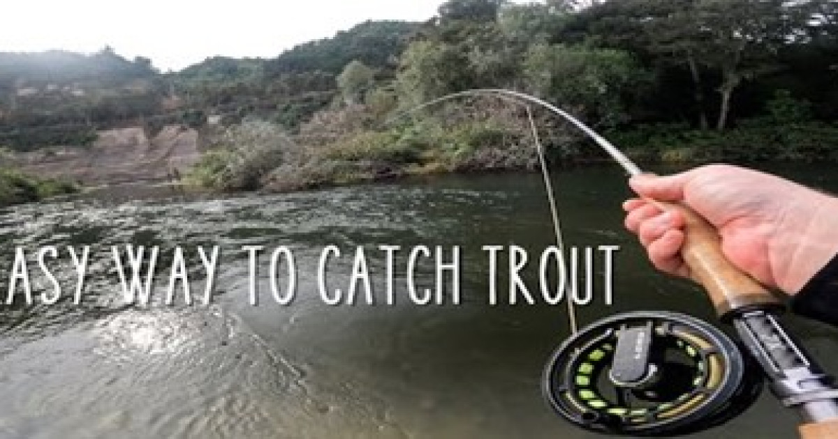Trout Fishing Made Easy - Fish & Game