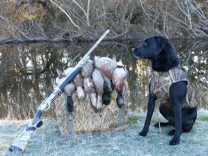 Frosty conditions duck hunting