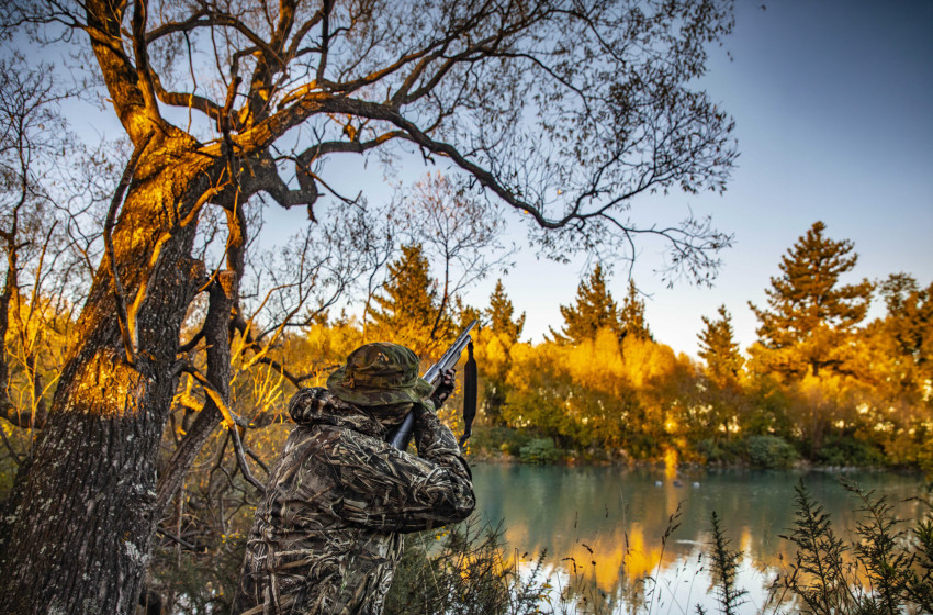 Bird flu (H5N1) confirmed in New Zealand, what hunters need to know
