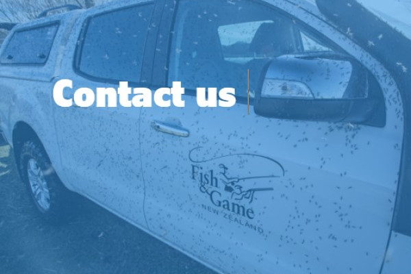 Contact us