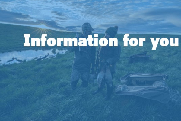 information
