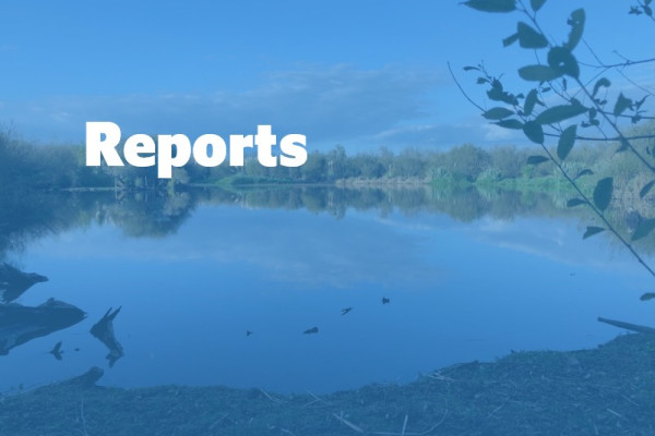 Reports