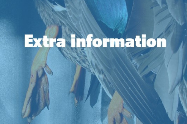 Information NM