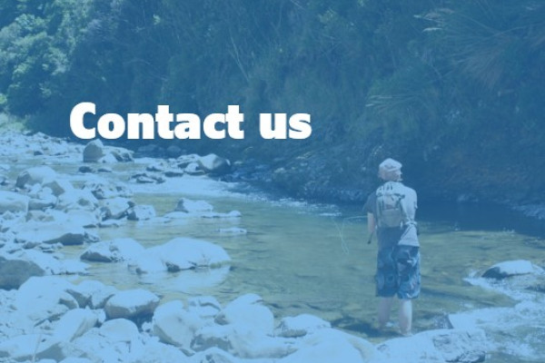 Contact us NM