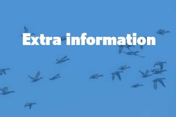 extra