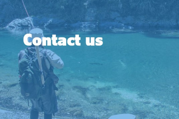 Contact us