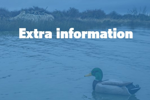 Extra information