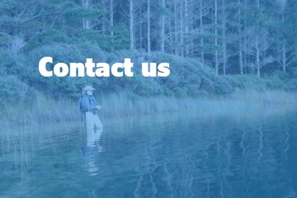 Contact us NM