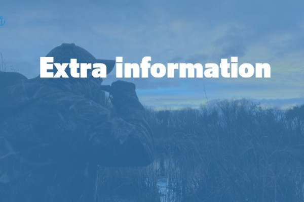 Extra