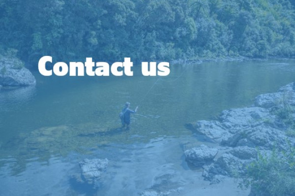 Contact us