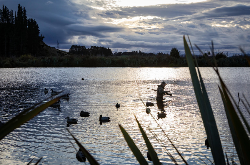 Arms Act changes to benefit game bird hunters