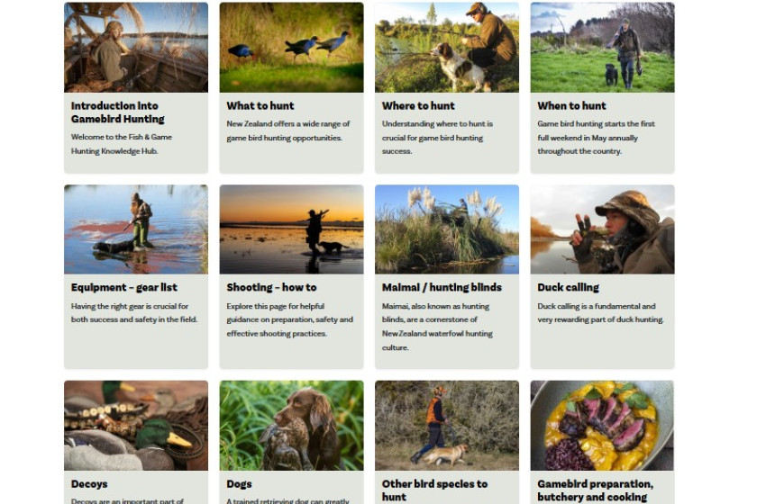 Fish & Game launches comprehensive game bird hunting knowledge hub