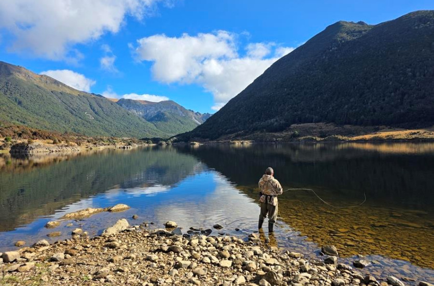Have your say on the Conservation Amendment Bill