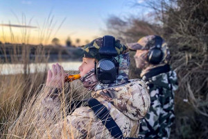 Duck calling