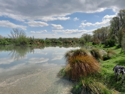 Ben Wilson wetland 2