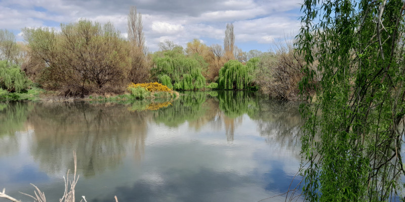 Ben Wilson wetland v2