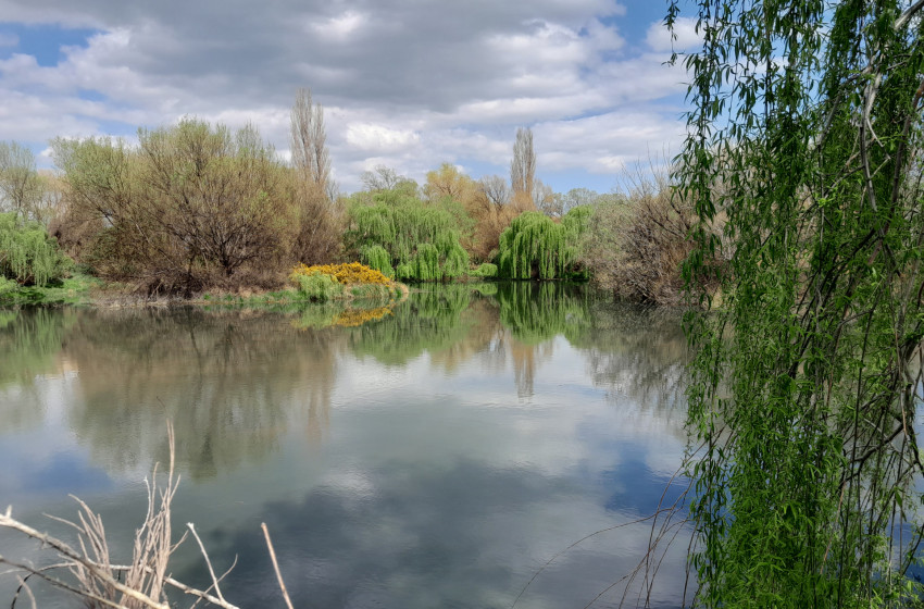 Fish & Game welcomes National pledge on wetlands