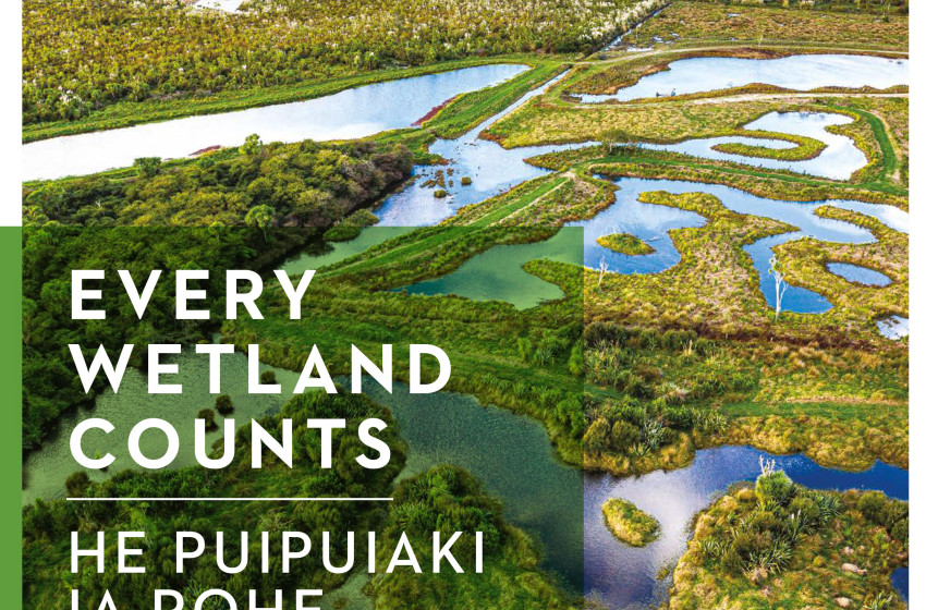 Every Wetland Counts