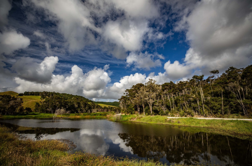 Fish & Game calls on anglers and game bird hunters to push for resource management fixes