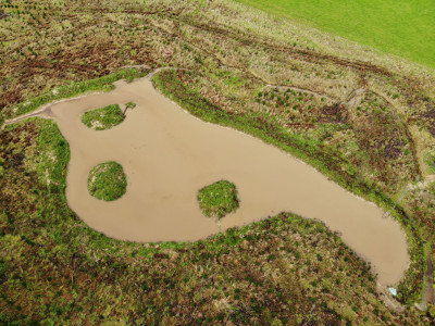 This wetland in Manawatu was part funded by a grant from the Game Bird Habitat Trust last year Photo   Josh Murray
