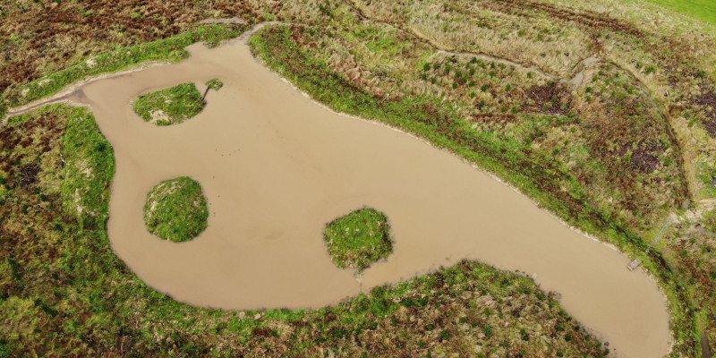 This wetland in Manawatu was part funded by a grant from the Game Bird Habitat Trust last year Photo   Josh Murray