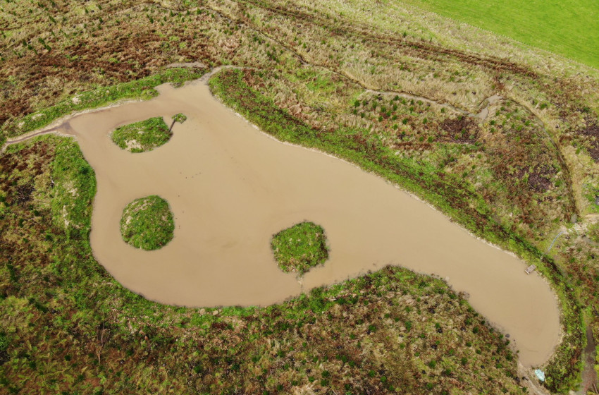 Hunters’ Funds Help Create More Than 12ha Of Wetlands Across The Lower North Island
