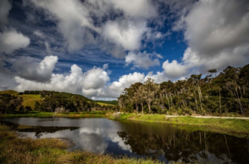New resource management laws need to recognise valued introduced species, says Fish & Game