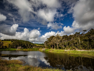 Underwood wetland