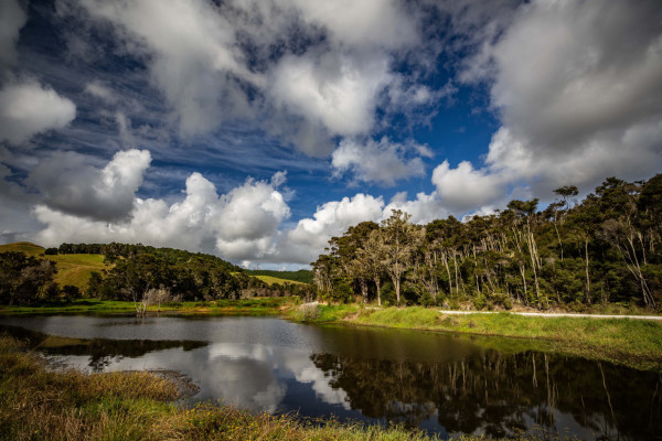 Underwood wetland