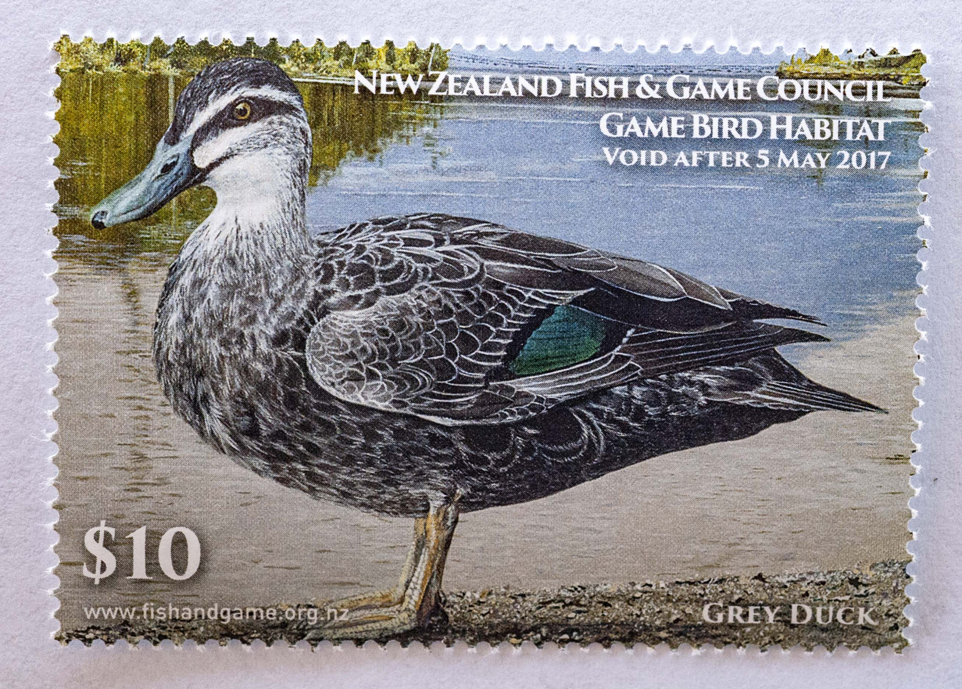Game Bird Habitat Stamp Gallery - Fish & Game