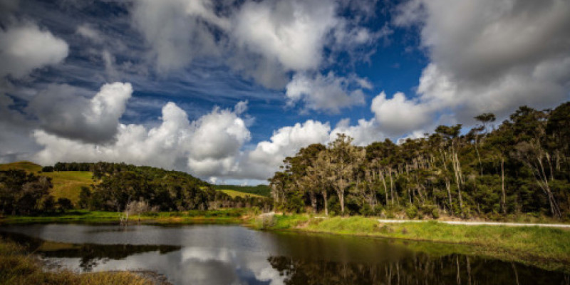 Underwood wetland ResizedImageWzUwMCwzMjBd FocusFillWyIwLjAwIiwiMC4wMCIsODUwLDU2MF0