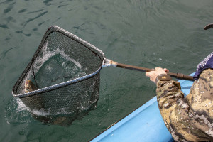 FGNZ6514A - boat fishing - net