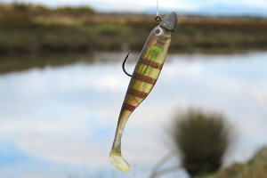 Soft bait paddle tail 2