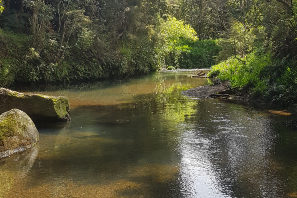 Northland River 