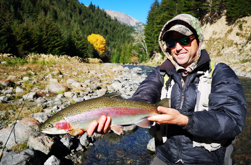 Reel Life April 2026 - Nelson Marlborough