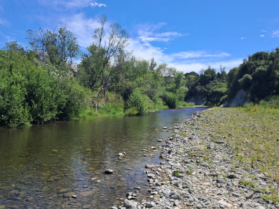 HB Stream 91225