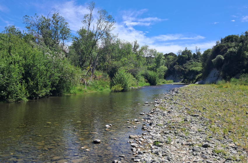 Reel Life December 2025 - Hawke's Bay