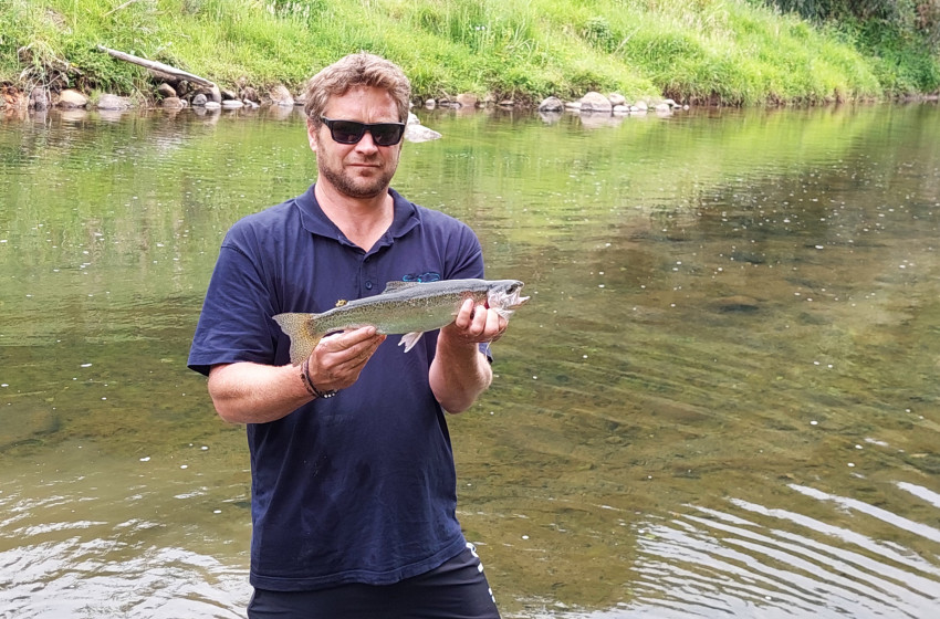 Reel Life December 2025 - Northland