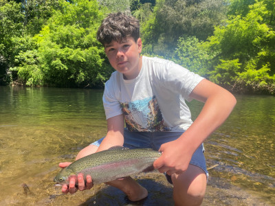 Healthy Hatchery Rainbow Prior to its release into the Patea River for the Stratford Kids Fishing Event