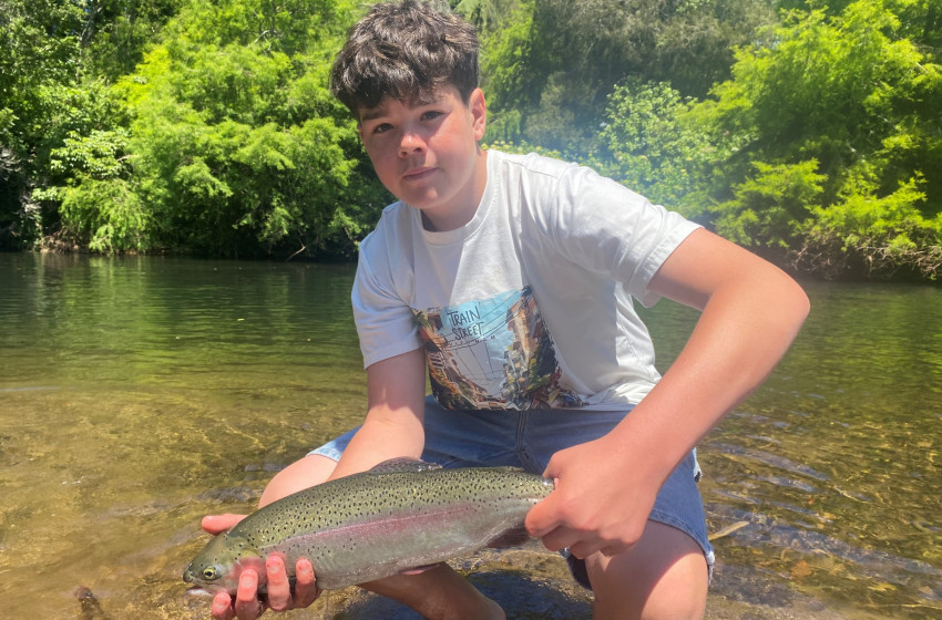 Reel Life December 2025 - Taranaki