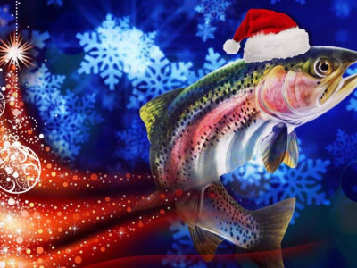 Xmas 2017  FocusFillWyIwLjAwIiwiMC4wMCIsODUwLDU2MF0