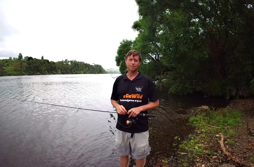 Reel Life February 2026 - Auckland Waikato