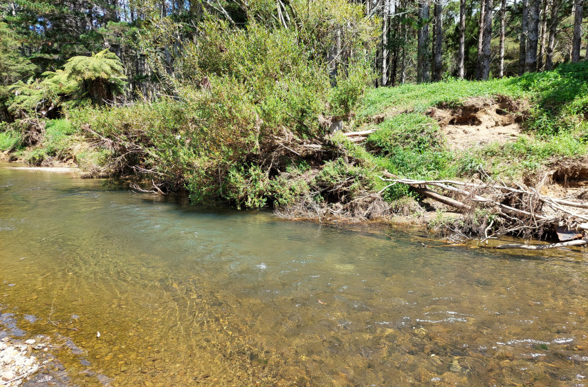 Reel Life February 2026 - Northland