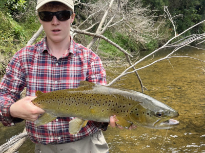 Josh Lutter with a cracker Wellington brown   some very big fish are being caught  this season