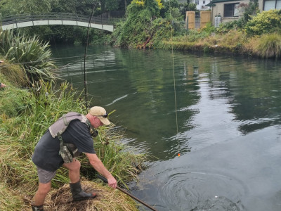Fishing success at the lower Waiteti
