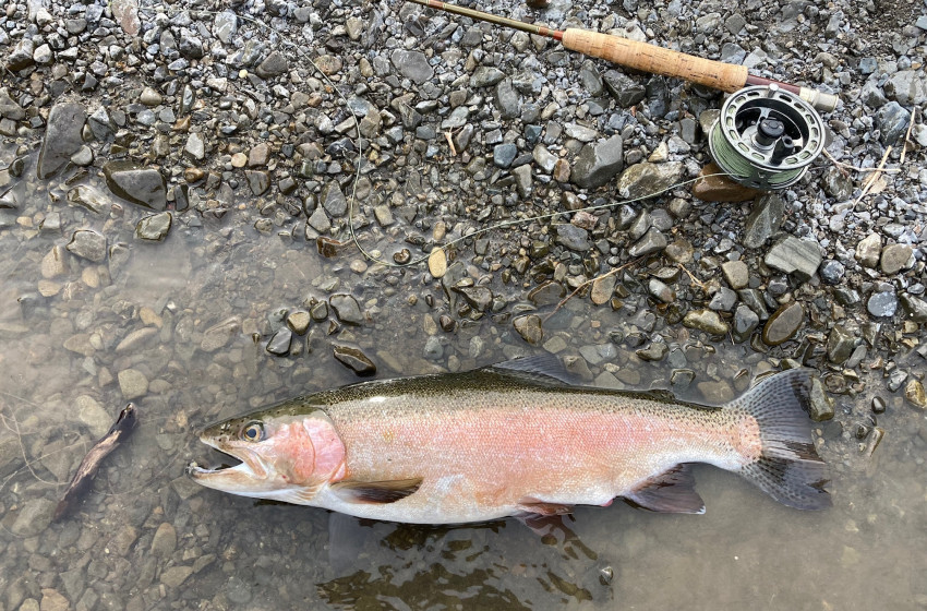 Reel Life January 2026 - Hawke's Bay