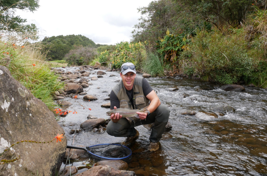 Reel Life January 2026 - Northland