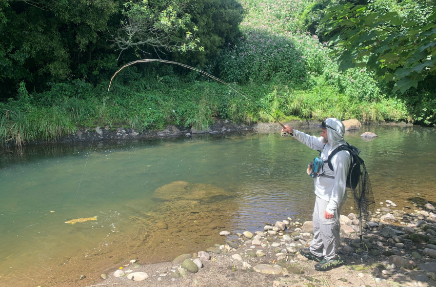 Reel Life January 2026 - Taranaki