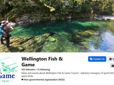 Wellington FB